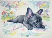 Bella Blue, a female French Bulldog for sale in De Witt, AR – 6 of 6