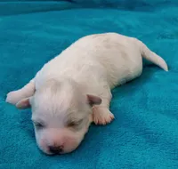 processed/c46e15d2-8ea0-4d9c-904a-29d840fc38ee/listing/45b2b4d2-aef7-4d7e-82c8-2e2fd4cbef35/43c4fb35-b51e-4ece-beaf-4d13fbeba062