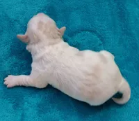 processed/c46e15d2-8ea0-4d9c-904a-29d840fc38ee/listing/45b2b4d2-aef7-4d7e-82c8-2e2fd4cbef35/f38b7464-9e33-4f36-896f-56dc37c59748