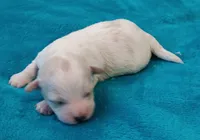 processed/c46e15d2-8ea0-4d9c-904a-29d840fc38ee/listing/45b2b4d2-aef7-4d7e-82c8-2e2fd4cbef35/fe0a17a7-285f-4a08-a43c-0463eac93954