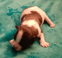 processed/c46e15d2-8ea0-4d9c-904a-29d840fc38ee/listing/4e117906-549b-455c-85f4-f5a544c38278/595aee01-e320-434a-be91-c97e9dd39bda