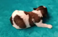 processed/c46e15d2-8ea0-4d9c-904a-29d840fc38ee/listing/4e117906-549b-455c-85f4-f5a544c38278/602940be-590d-4e86-8625-d8639d1fa746