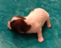 processed/c46e15d2-8ea0-4d9c-904a-29d840fc38ee/listing/aff657e9-36a2-4160-a4fa-fca0e01cf28a/2ecfcdff-38a1-472b-b4ba-609fbf967ff5