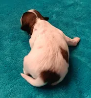 processed/c46e15d2-8ea0-4d9c-904a-29d840fc38ee/listing/aff657e9-36a2-4160-a4fa-fca0e01cf28a/729aa472-350b-4b3f-a9d0-188ebd84bb39