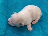 processed/c46e15d2-8ea0-4d9c-904a-29d840fc38ee/listing/cb4004dd-d04d-4f12-9e35-338f354c4890/b545185b-f7ed-4fd7-8a02-4df7728cce1a