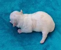 processed/c46e15d2-8ea0-4d9c-904a-29d840fc38ee/listing/cb4004dd-d04d-4f12-9e35-338f354c4890/c103957f-c81a-459f-88c7-462a4b2ee9f6