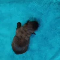 processed/c46e15d2-8ea0-4d9c-904a-29d840fc38ee/listing/d448763c-f27a-4e1d-bfa1-d532012d16fc/25bed2d9-b895-4d67-b84b-9291daf292f1