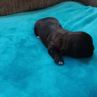 processed/c46e15d2-8ea0-4d9c-904a-29d840fc38ee/listing/d448763c-f27a-4e1d-bfa1-d532012d16fc/284e17c5-ba0f-4fcc-9bac-fe43574e28c4