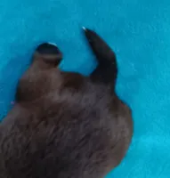 processed/c46e15d2-8ea0-4d9c-904a-29d840fc38ee/listing/d448763c-f27a-4e1d-bfa1-d532012d16fc/3720587b-5c48-4bfc-b0e4-525d4ea54635