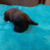 processed/c46e15d2-8ea0-4d9c-904a-29d840fc38ee/listing/d448763c-f27a-4e1d-bfa1-d532012d16fc/661f4aa4-88fe-4927-98c0-8add00be4264