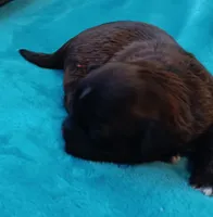 processed/c46e15d2-8ea0-4d9c-904a-29d840fc38ee/listing/d448763c-f27a-4e1d-bfa1-d532012d16fc/92eb5464-ba4a-4372-931c-6b2ba3195b60