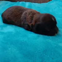 processed/c46e15d2-8ea0-4d9c-904a-29d840fc38ee/listing/d448763c-f27a-4e1d-bfa1-d532012d16fc/be439056-04d6-49f1-8e06-d9200c61f778