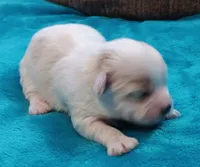 processed/c46e15d2-8ea0-4d9c-904a-29d840fc38ee/listing/f6369a59-03e6-438f-906b-3cc6b3689ca0/1df6dd9a-20f3-41f8-a15a-00e2fcaf539c