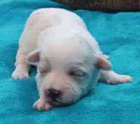 processed/c46e15d2-8ea0-4d9c-904a-29d840fc38ee/listing/f6369a59-03e6-438f-906b-3cc6b3689ca0/37350c43-7115-481e-9b4d-465baaffff04