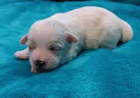 processed/c46e15d2-8ea0-4d9c-904a-29d840fc38ee/listing/f6369a59-03e6-438f-906b-3cc6b3689ca0/d00e452c-3a4f-44a4-8734-55efb52ae362