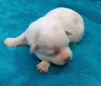 processed/c46e15d2-8ea0-4d9c-904a-29d840fc38ee/listing/f6369a59-03e6-438f-906b-3cc6b3689ca0/f0962764-2a62-4f09-a097-73844f05fc90