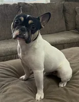 processed/c470e2f8-7e03-422d-9ceb-266b066afacc/listing/3c462451-b625-4d65-9beb-1fd80be2b0c3/236a8694-d482-4825-ae31-a7b31bea9ed1