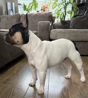 processed/c470e2f8-7e03-422d-9ceb-266b066afacc/listing/3c462451-b625-4d65-9beb-1fd80be2b0c3/40efa4e9-2cfb-42a2-96f5-f9477a7b5ed9