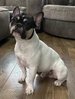 processed/c470e2f8-7e03-422d-9ceb-266b066afacc/listing/3c462451-b625-4d65-9beb-1fd80be2b0c3/6f641459-dfd8-4ca0-a15f-4e9c5112e7d9