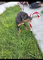 processed/c4757842-9501-468d-a24a-ac1bff9d6274/listing/64459e7d-3ad4-4e32-b7af-24f7fabdc0cd/024cd064-2deb-45ec-ba1a-a690a7bafadd