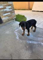 processed/c4757842-9501-468d-a24a-ac1bff9d6274/listing/64459e7d-3ad4-4e32-b7af-24f7fabdc0cd/3735d257-1081-4538-be82-27f0ba44c53c