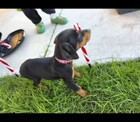 processed/c4757842-9501-468d-a24a-ac1bff9d6274/listing/64459e7d-3ad4-4e32-b7af-24f7fabdc0cd/bf4997d8-61f0-45a2-8942-6357a6a8676f