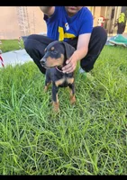 processed/c4757842-9501-468d-a24a-ac1bff9d6274/listing/64459e7d-3ad4-4e32-b7af-24f7fabdc0cd/e5e62289-b535-4d11-ae88-38804827175a