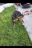 processed/c4757842-9501-468d-a24a-ac1bff9d6274/listing/64459e7d-3ad4-4e32-b7af-24f7fabdc0cd/f7aec63e-67ff-4eed-ad83-1ecb6946526b