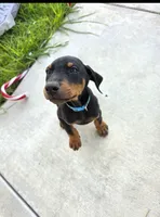 processed/c4757842-9501-468d-a24a-ac1bff9d6274/listing/a492a340-63c9-43e4-bdb1-ca3ea88a099a/14558080-b8d8-4400-912a-35dde43b8de7