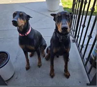 processed/c4757842-9501-468d-a24a-ac1bff9d6274/listing/a492a340-63c9-43e4-bdb1-ca3ea88a099a/26a29304-1d95-4a78-af11-cca7aa721014