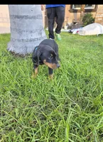 processed/c4757842-9501-468d-a24a-ac1bff9d6274/listing/a492a340-63c9-43e4-bdb1-ca3ea88a099a/5e3c8280-f11e-4e03-875a-3a1ea7f60e9c