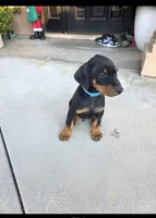 processed/c4757842-9501-468d-a24a-ac1bff9d6274/listing/a492a340-63c9-43e4-bdb1-ca3ea88a099a/9806e268-36f6-4235-bd1d-157c22e40322