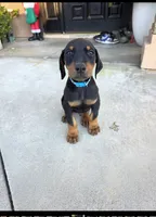 processed/c4757842-9501-468d-a24a-ac1bff9d6274/listing/a492a340-63c9-43e4-bdb1-ca3ea88a099a/a1d57a5d-bac6-40bc-9267-8bb566e580f6