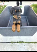 processed/c4757842-9501-468d-a24a-ac1bff9d6274/listing/a8e63836-149b-4d82-a8b1-b852ab8cefae/04130b44-3389-40a3-a23d-0795e4102dfe