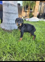 processed/c4757842-9501-468d-a24a-ac1bff9d6274/listing/a8e63836-149b-4d82-a8b1-b852ab8cefae/0c64c0af-91c8-4c2d-b9a0-9d5f1e7c5437