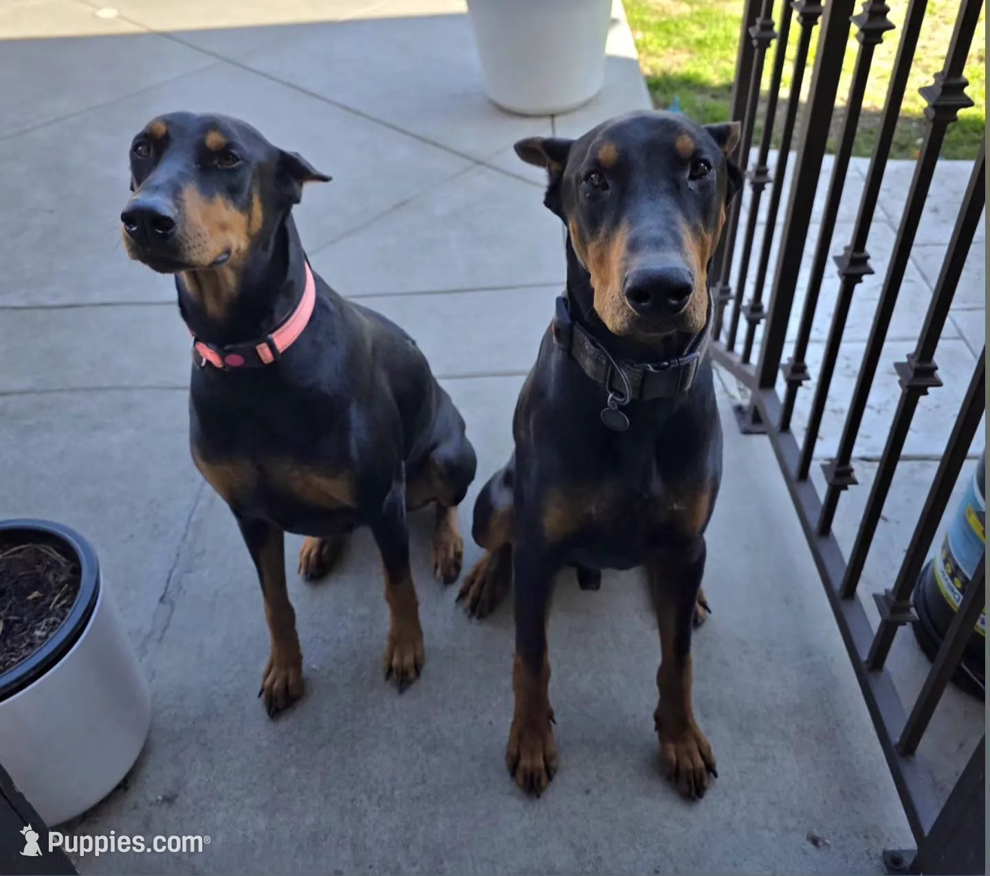 processed/c4757842-9501-468d-a24a-ac1bff9d6274/listing/a8e63836-149b-4d82-a8b1-b852ab8cefae/75b9a84a-8ae4-4c7b-b1ad-289690c01db9