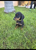 processed/c4757842-9501-468d-a24a-ac1bff9d6274/listing/a8e63836-149b-4d82-a8b1-b852ab8cefae/78b9392b-9141-43f6-b21f-b79b2a8040e0