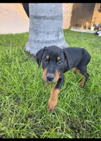 processed/c4757842-9501-468d-a24a-ac1bff9d6274/listing/a8e63836-149b-4d82-a8b1-b852ab8cefae/b232e39d-97fd-4fb2-995f-6bb3ae692b1f