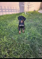 processed/c4757842-9501-468d-a24a-ac1bff9d6274/listing/ca368893-c1c3-4c03-95cf-c03b92eb7174/476ff4ef-bc3d-411b-969c-553378136206