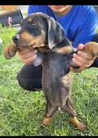 processed/c4757842-9501-468d-a24a-ac1bff9d6274/listing/ca368893-c1c3-4c03-95cf-c03b92eb7174/80e6cb70-31a6-40c6-9fa8-37ed9b3acf5d