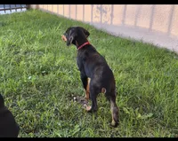 processed/c4757842-9501-468d-a24a-ac1bff9d6274/listing/ca368893-c1c3-4c03-95cf-c03b92eb7174/a8a824c9-8491-4e09-a098-826a0aacab86