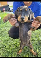 processed/c4757842-9501-468d-a24a-ac1bff9d6274/listing/ca368893-c1c3-4c03-95cf-c03b92eb7174/ecf86801-774a-4fc1-8ef0-47523f32c54e