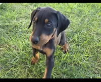 processed/c4757842-9501-468d-a24a-ac1bff9d6274/listing/ca368893-c1c3-4c03-95cf-c03b92eb7174/f57754b9-1233-49b3-a12a-522575e6d212