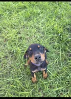 processed/c4757842-9501-468d-a24a-ac1bff9d6274/listing/db6ba238-913a-4e7d-beeb-431d851669c8/1c8edad8-14de-467d-b66b-b6cb5ff226e2