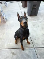 processed/c4757842-9501-468d-a24a-ac1bff9d6274/listing/db6ba238-913a-4e7d-beeb-431d851669c8/2adb9315-9a79-42cb-9413-66e3cb8d8792