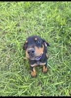 processed/c4757842-9501-468d-a24a-ac1bff9d6274/listing/db6ba238-913a-4e7d-beeb-431d851669c8/62ef371c-3bbf-43d8-bf29-062609e0a106