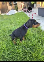 processed/c4757842-9501-468d-a24a-ac1bff9d6274/listing/db6ba238-913a-4e7d-beeb-431d851669c8/a8d210cc-677c-4de7-98e0-19e3f49dd7d2