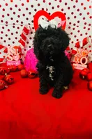 processed/c47b6f69-b6e8-4a46-838a-e6d19d7e7416/listing/9a83b9c6-e22e-49ae-a36d-4cb85bec86a1/018c1cac-f303-4319-a4b3-858d2c5d6568