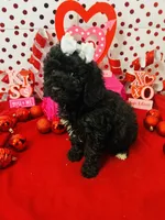 processed/c47b6f69-b6e8-4a46-838a-e6d19d7e7416/listing/9a83b9c6-e22e-49ae-a36d-4cb85bec86a1/8592df72-05c5-4bc9-af75-c9b18eec0b18