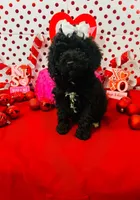 processed/c47b6f69-b6e8-4a46-838a-e6d19d7e7416/listing/9a83b9c6-e22e-49ae-a36d-4cb85bec86a1/d6c5fa61-1dce-404e-b41d-c0f87875fa3d